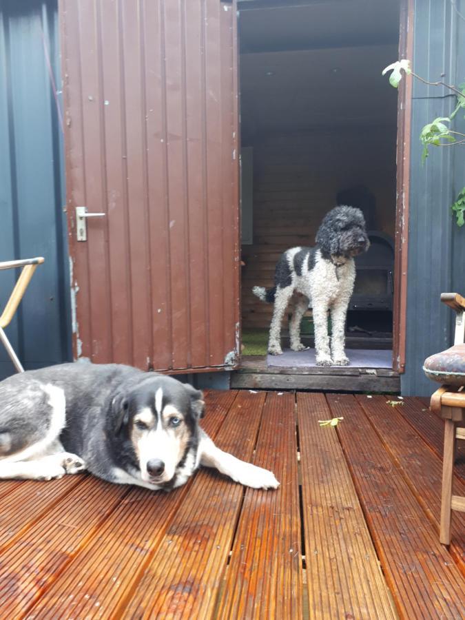 Aeltestes Haus In Quentel - Ferienwohnung 2 Mit Dachterrasse Lichtenau Buitenkant foto
